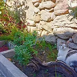 Jardim Da Rosa Monção