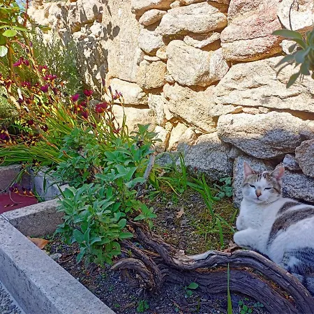 Jardim Da Rosa Moncao