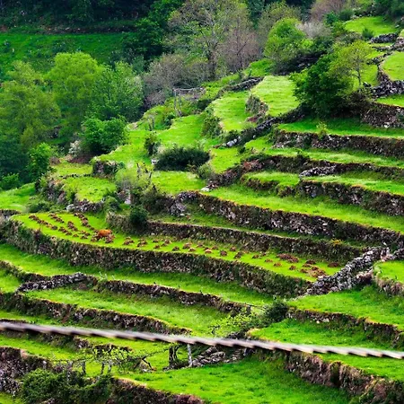 Jardim Da Rosa カントリーハウス *