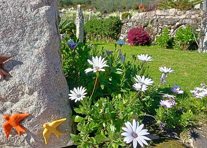 Jardim Da Rosa Landhaus *