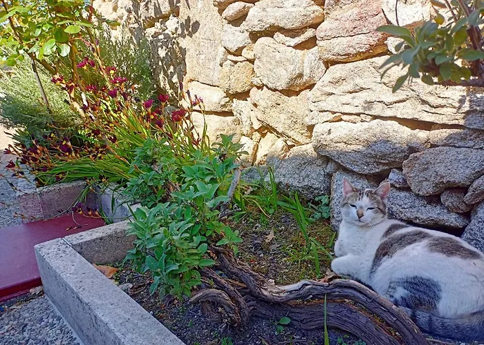 Jardim Da Rosa Monção