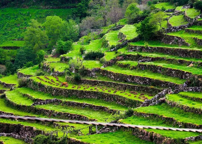 Jardim Da Rosa Landhaus *